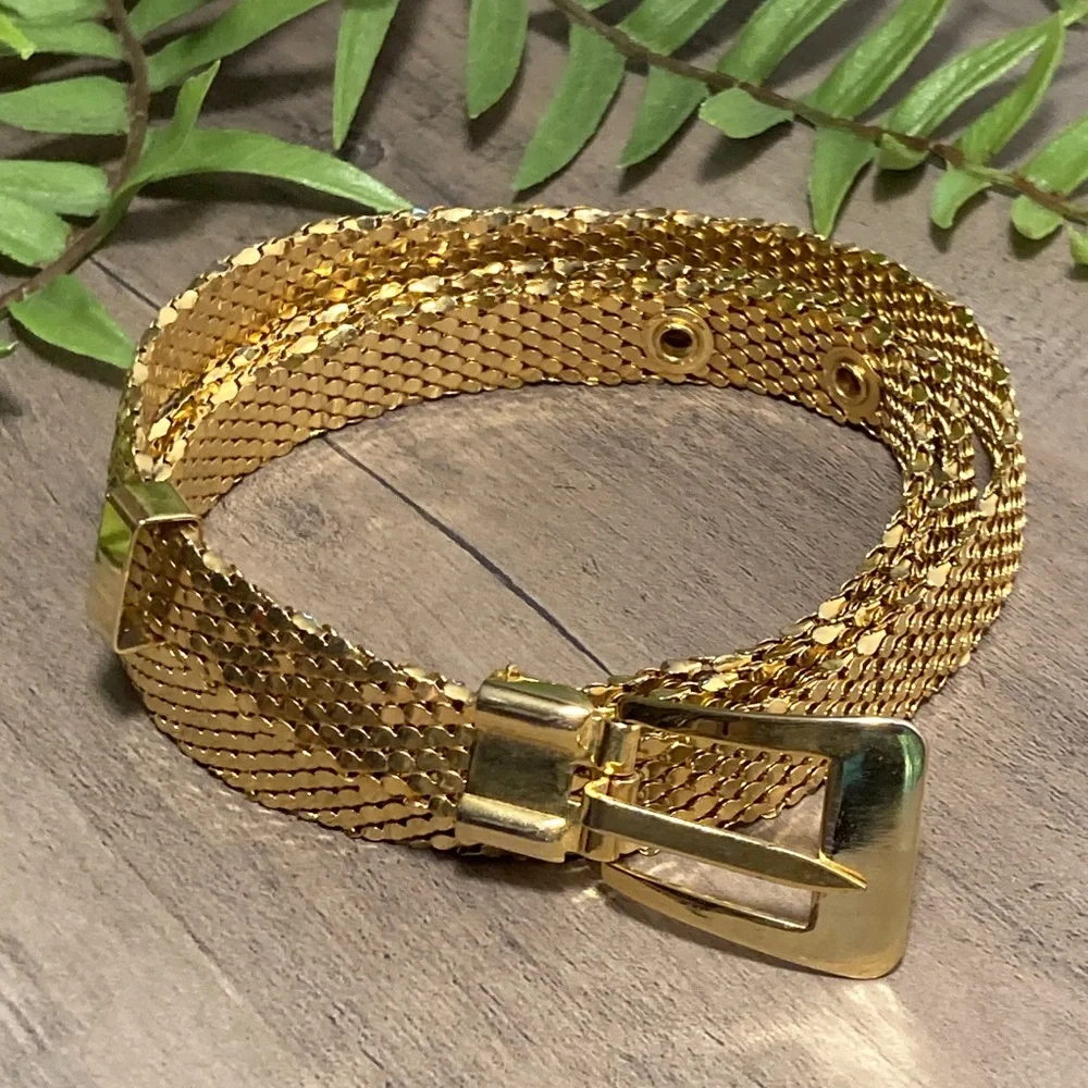 Vintage Retro Glam Serpent Scale Gold Mesh Belt